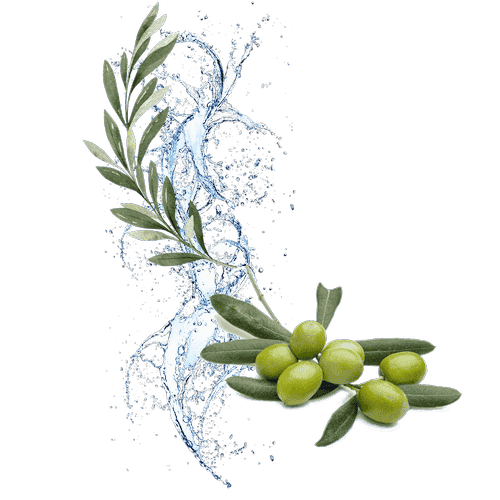 Körpercreme Olive